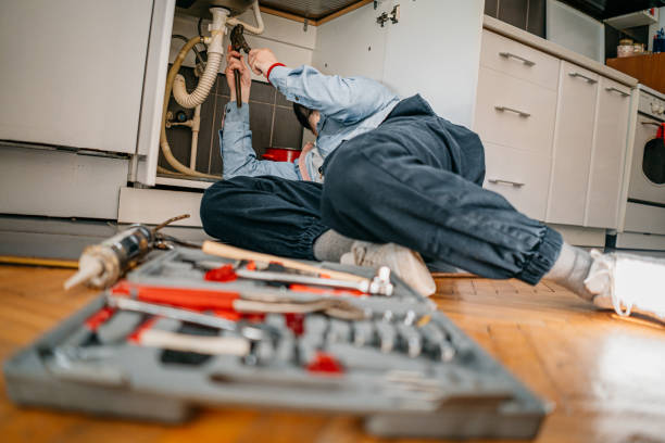 Best Clogged Drain Plumber  in Smithfield, UT